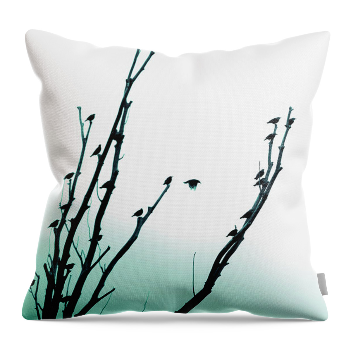 Bird Throw Pillow featuring the photograph Birds Silhouette in Tree Teal by Jennie Marie Schell