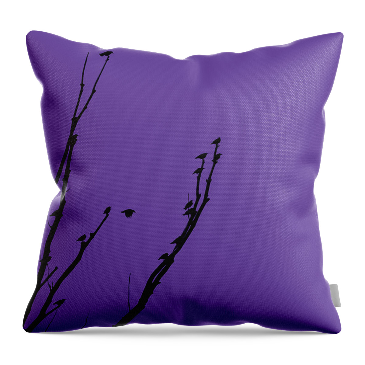 Bird Throw Pillow featuring the photograph Birds Silhouette Purple by Jennie Marie Schell