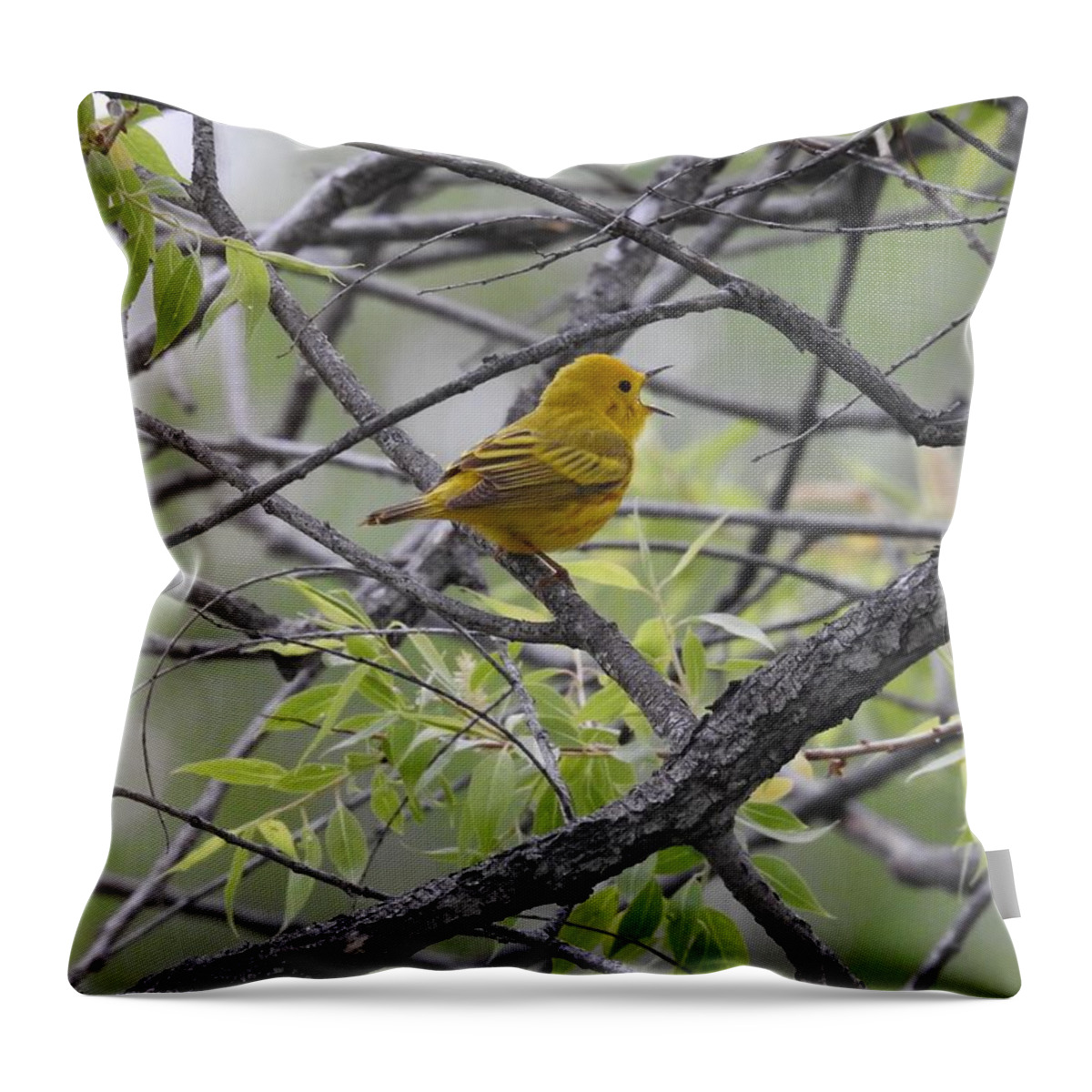 Yellow Throw Pillow featuring the photograph Birdsong by Nicole Belvill