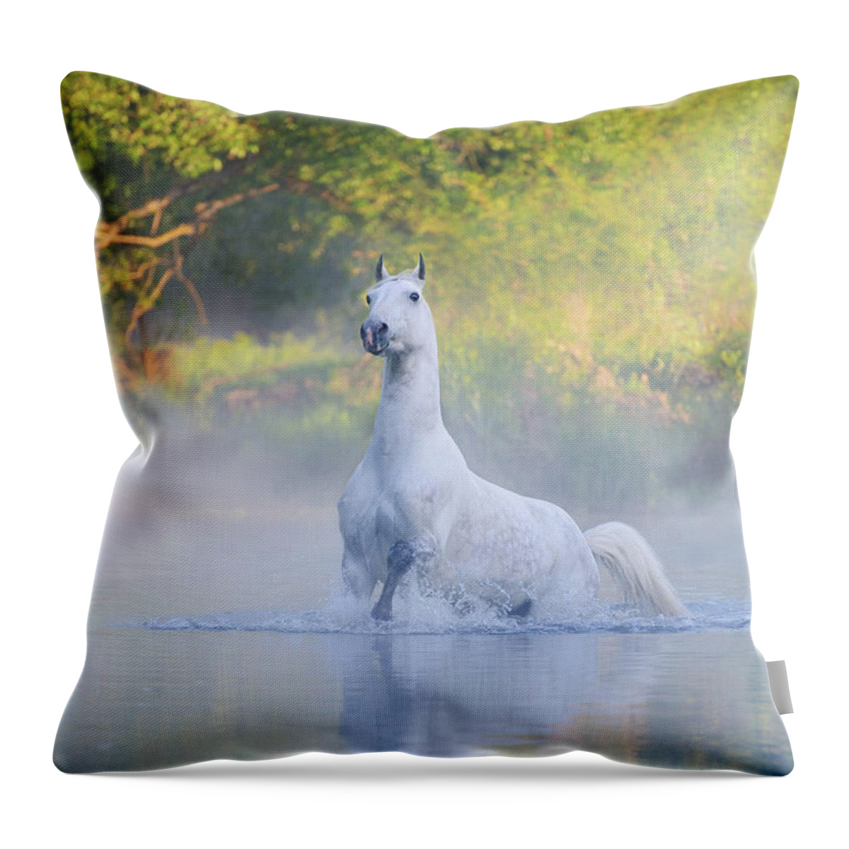 Russian Artists New Wave Throw Pillow featuring the photograph Birth of Aphrodite by Ekaterina Druz