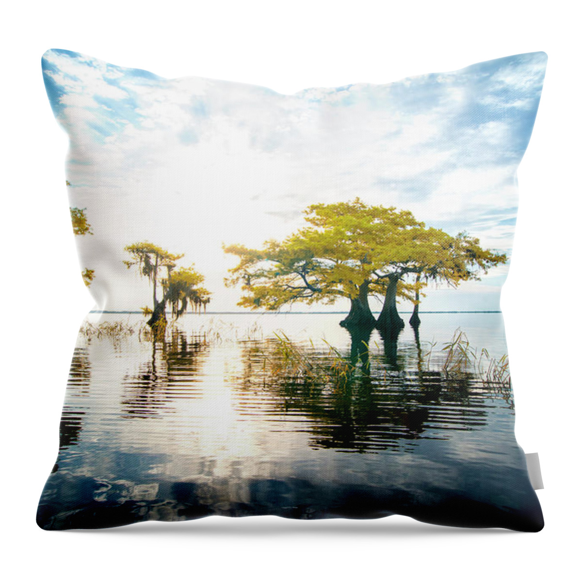 Crystal Yingling Throw Pillow featuring the photograph Birth of Morning by Ghostwinds Photography