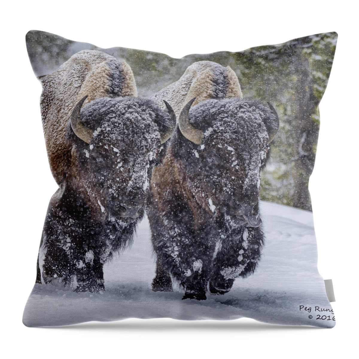 Bison Throw Pillow featuring the photograph Bison Buddies by Peg Runyan