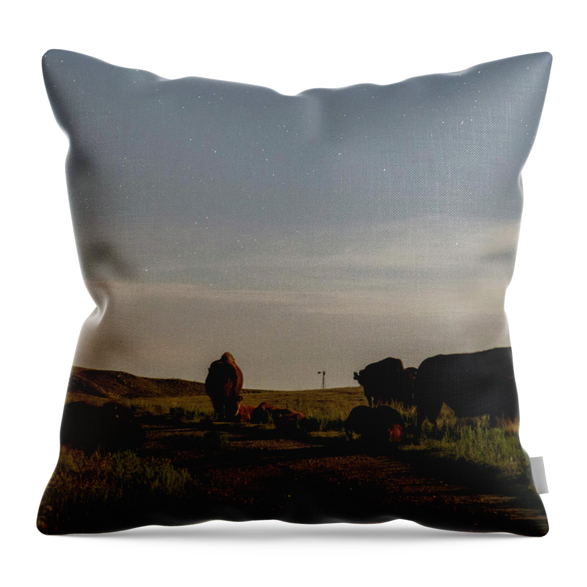Kansas Throw Pillow featuring the photograph Bison by moonlight 02 by Rob Graham