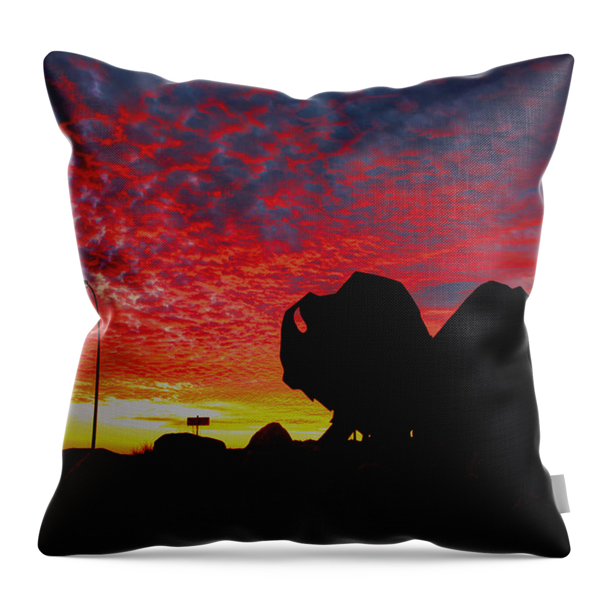 Sunset Throw Pillow featuring the photograph Bison Sunset by Larry Trupp