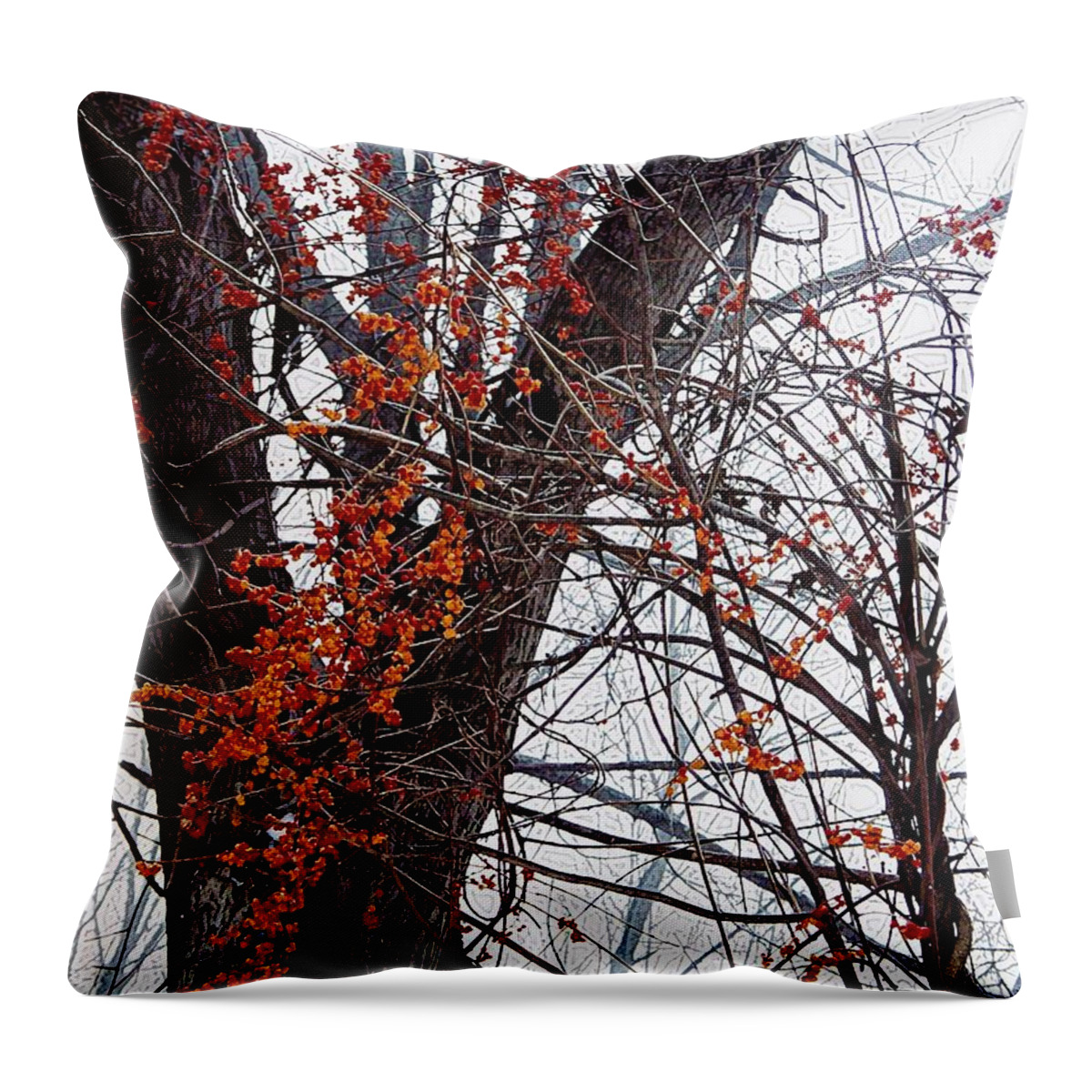 Bittersweet Throw Pillow featuring the photograph Bittersweet by Joy Nichols