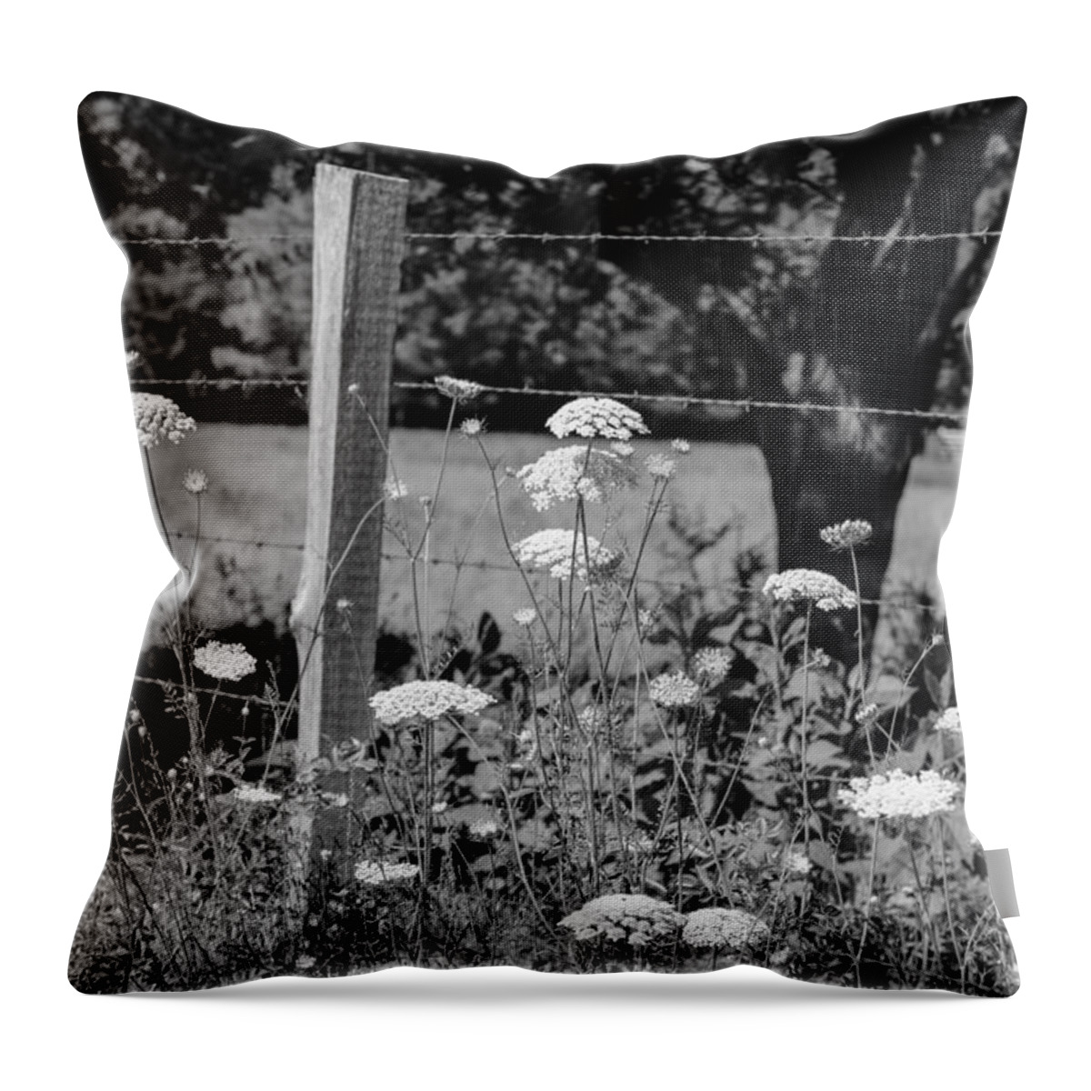 Black And White Throw Pillow featuring the photograph Black and White 28 by Jimmy McDonald