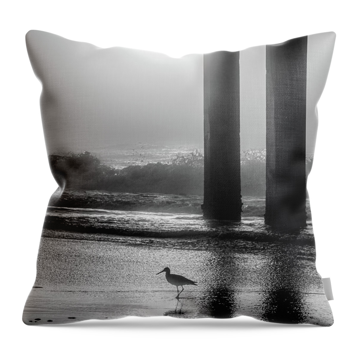 Beach Throw Pillow featuring the photograph Black and White Bird Beach by John McGraw