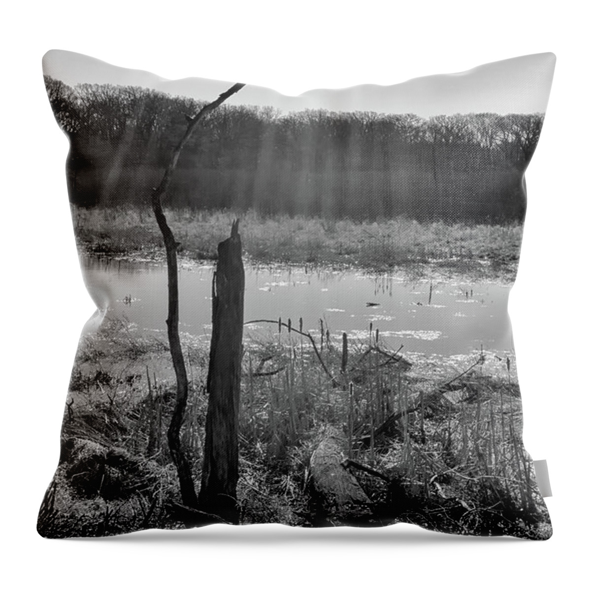 Black & White Throw Pillow featuring the photograph Black and White Bog by Jim Shackett