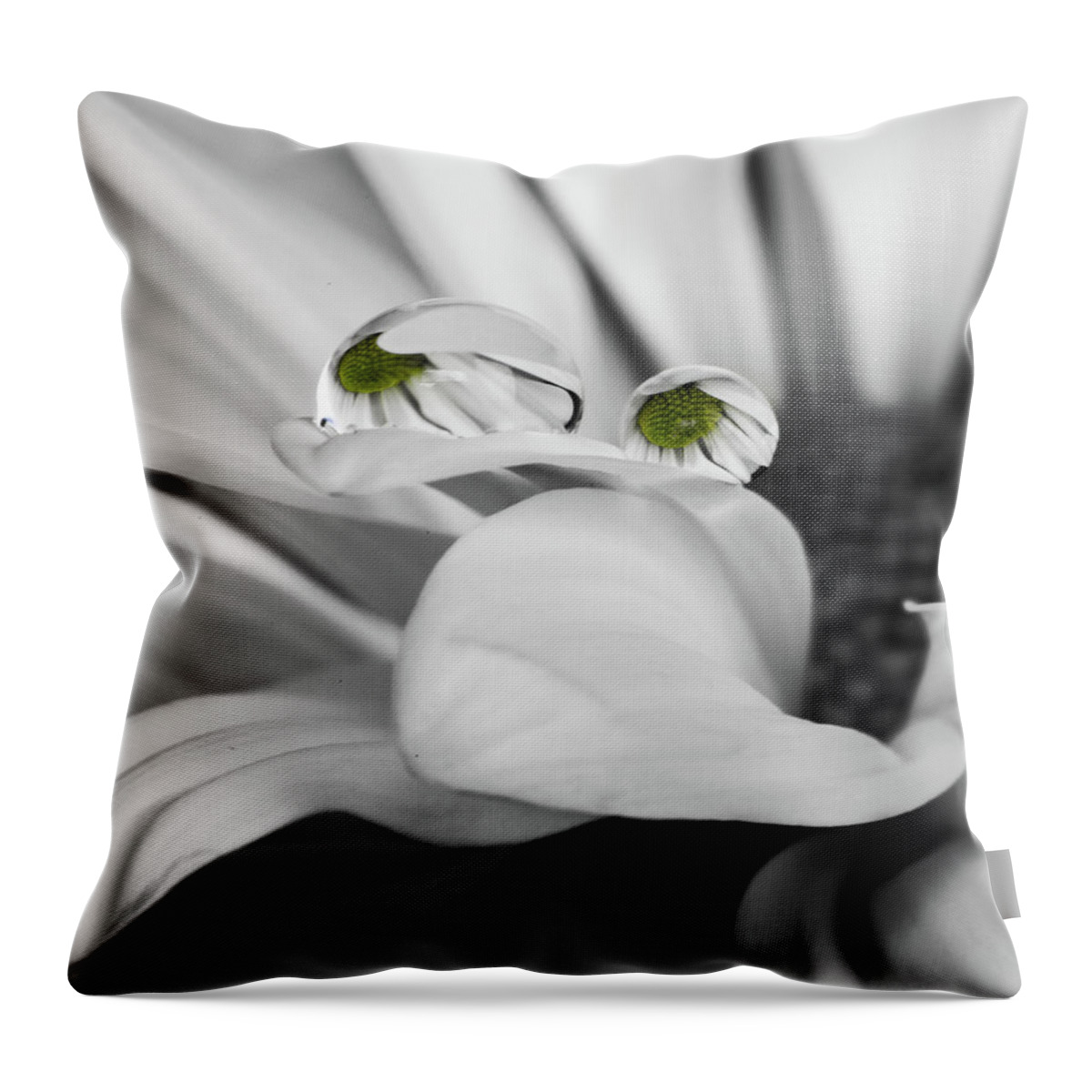 Flower Throw Pillow featuring the photograph Black and White Daisy Water by Tammy Ray