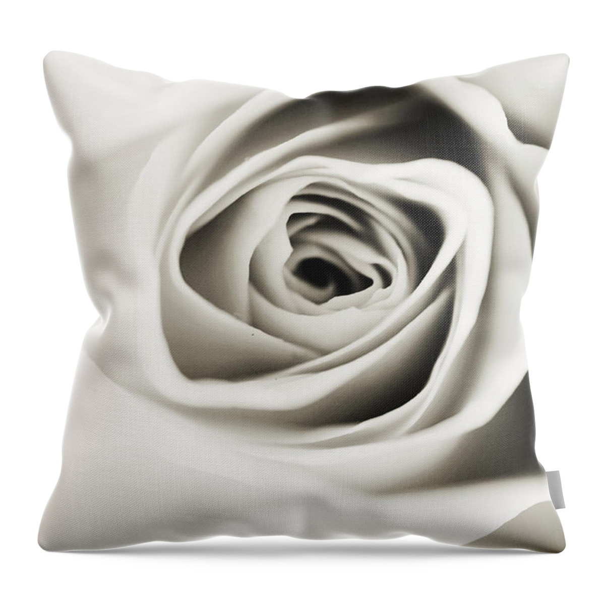 Jenny Rainbow Fine Art Photography Throw Pillow featuring the photograph Black and White Delight by Jenny Rainbow