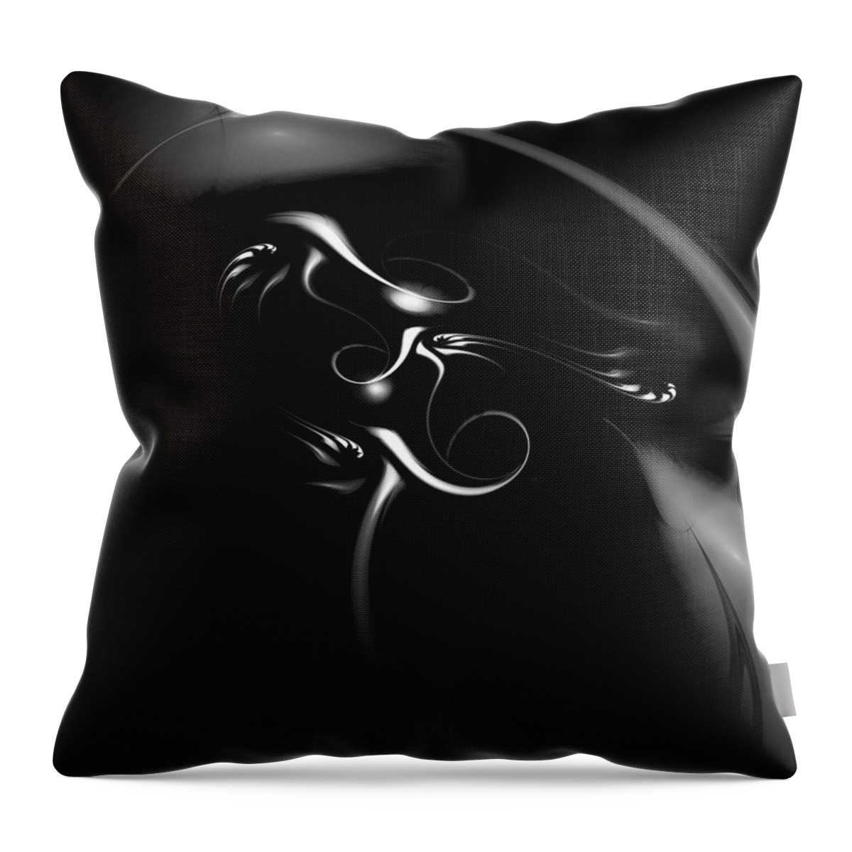 Fractal Throw Pillow featuring the digital art Black and White Fractal 080810B by David Lane