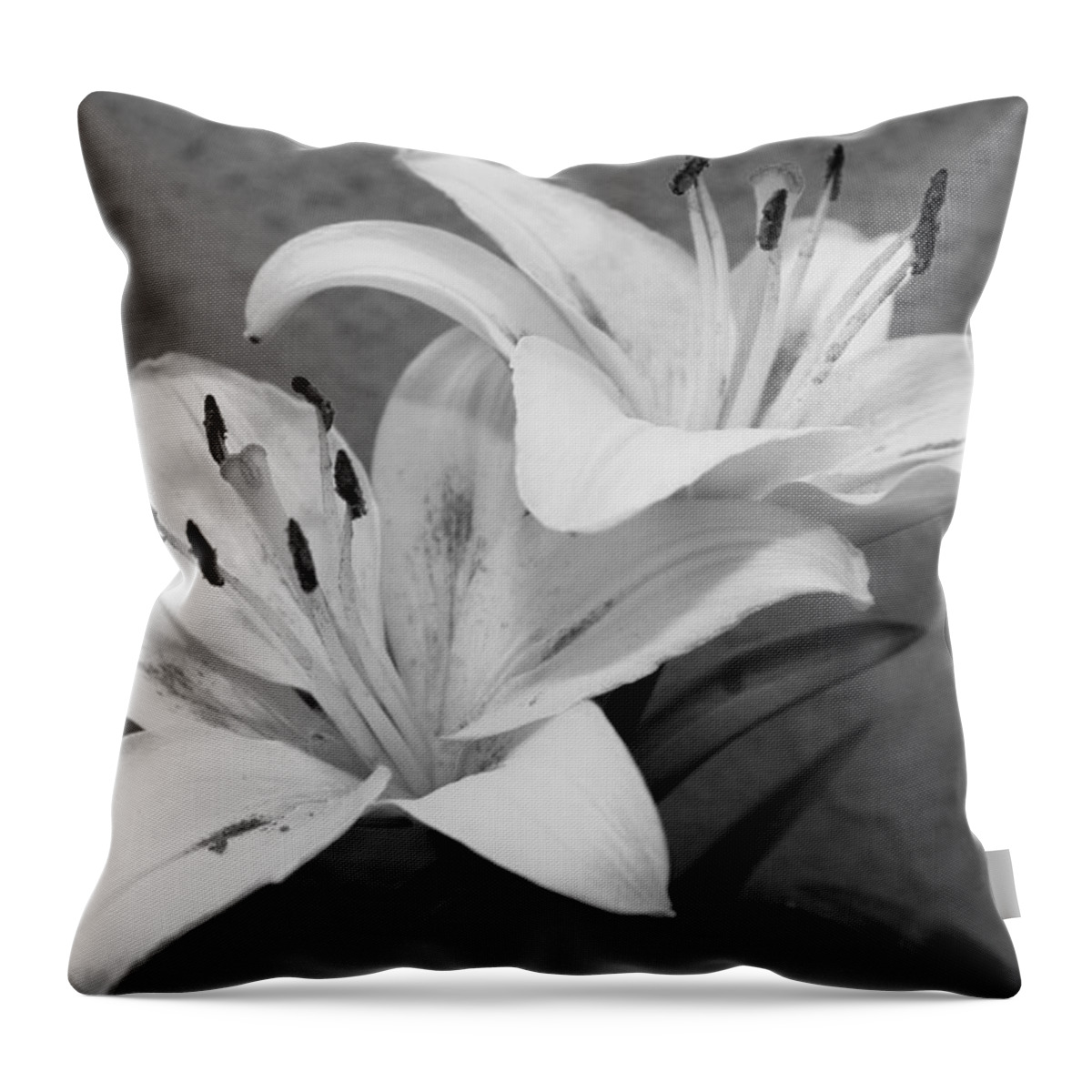 Flower Throw Pillow featuring the photograph Black and White Lilies 1 by Amy Fose