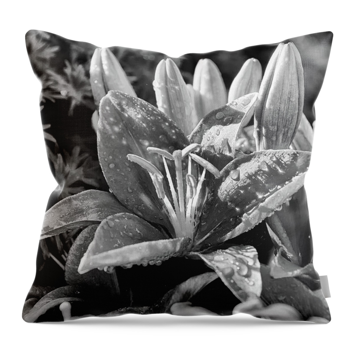 Black & White Throw Pillow featuring the photograph Black and white lily by Debra Baldwin
