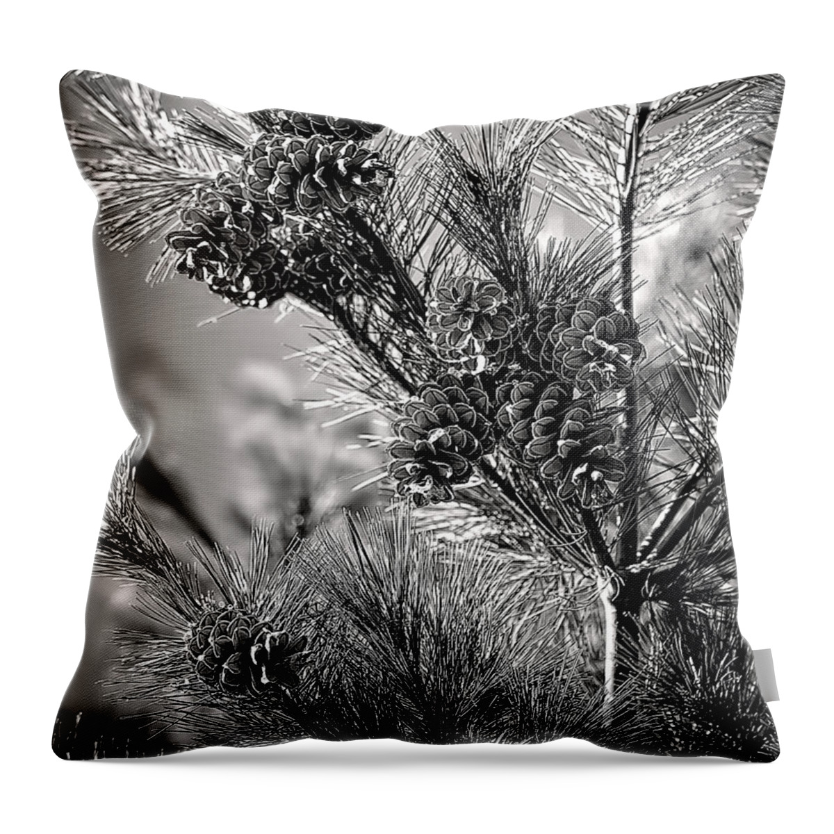 Black And White Pine Tree Print Throw Pillow featuring the photograph Black and White Pine Print by Gwen Gibson