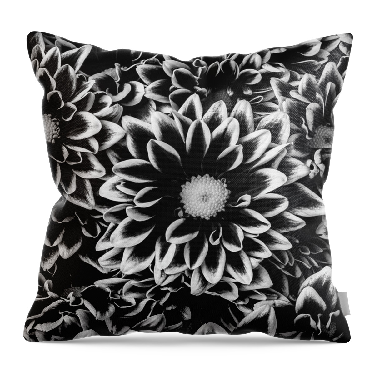 Pom Throw Pillow featuring the photograph Black And White Poms by Garry Gay