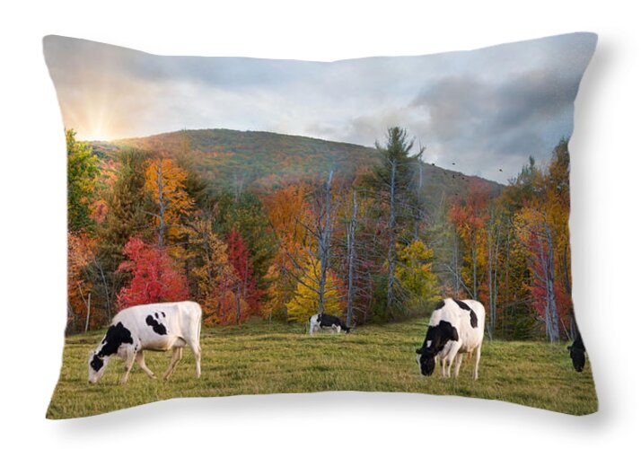 Cows Throw Pillow featuring the photograph Black And White by Robin-Lee Vieira