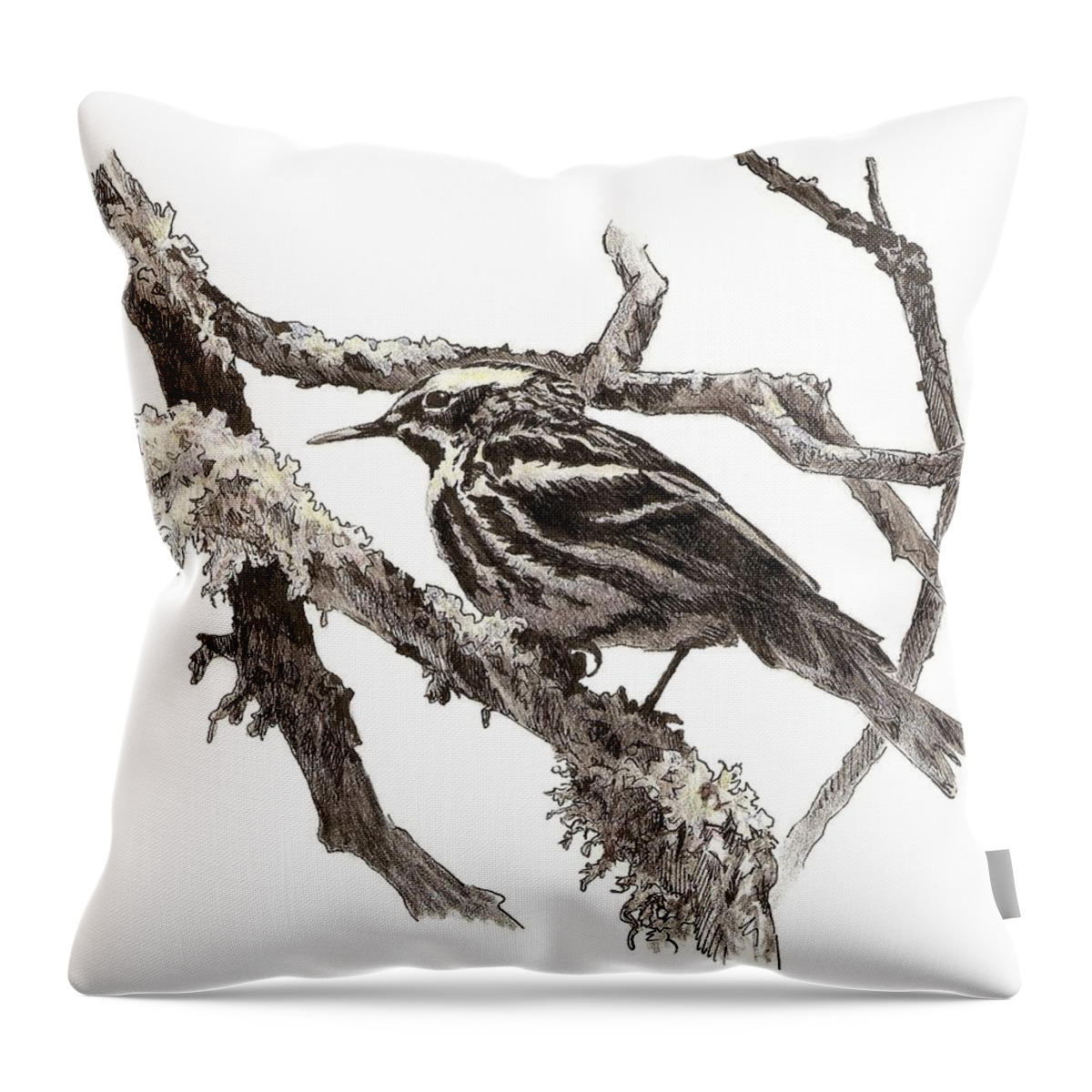 Black-and-white Warbler Throw Pillow featuring the drawing Black-and-white Warbler by Abby McBride