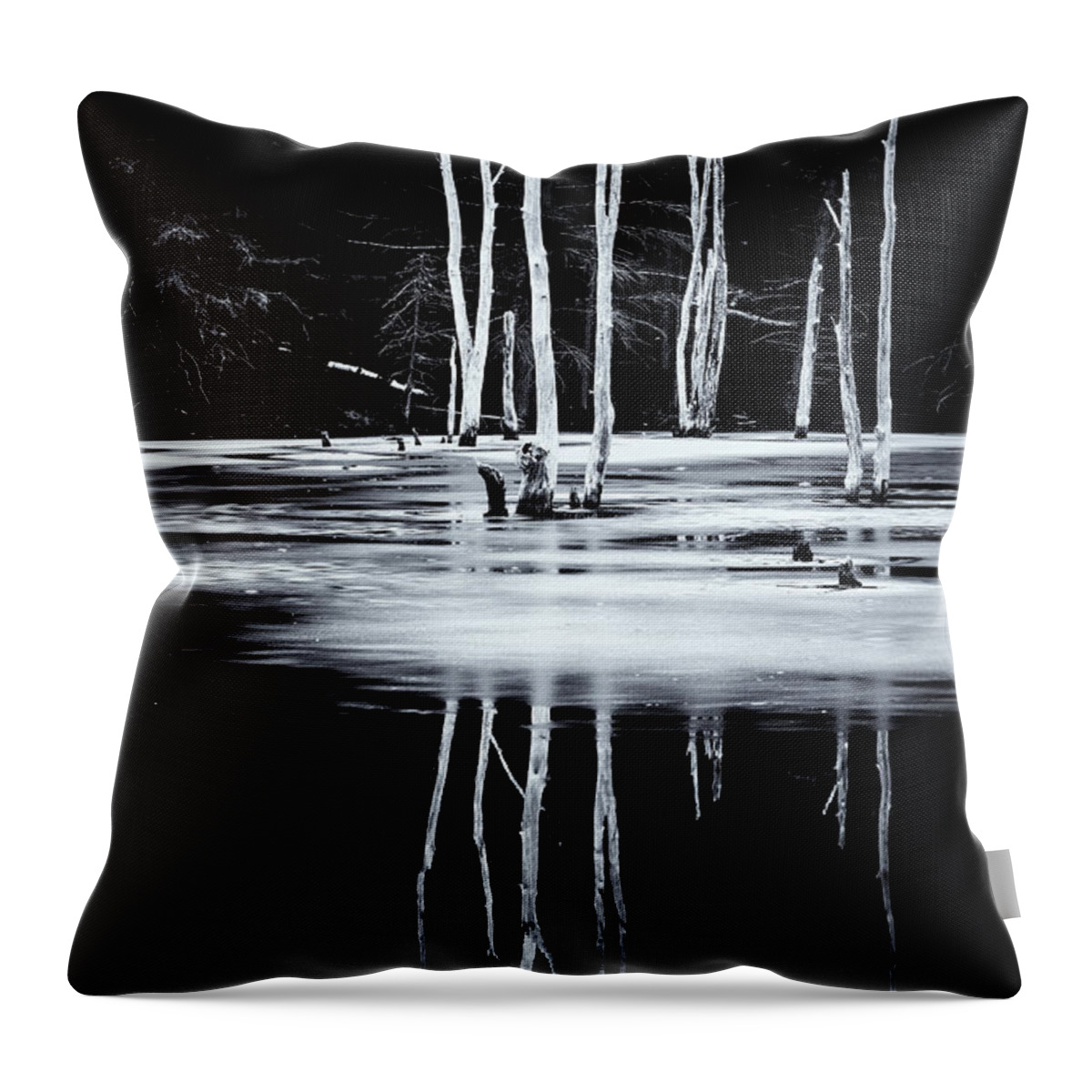 Marlboro Throw Pillow featuring the photograph Black And White Winter Thaw Relections by Tom Singleton