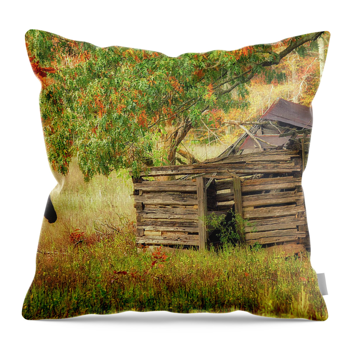 Landscape Throw Pillow featuring the photograph Black Beauty by Amber Kresge