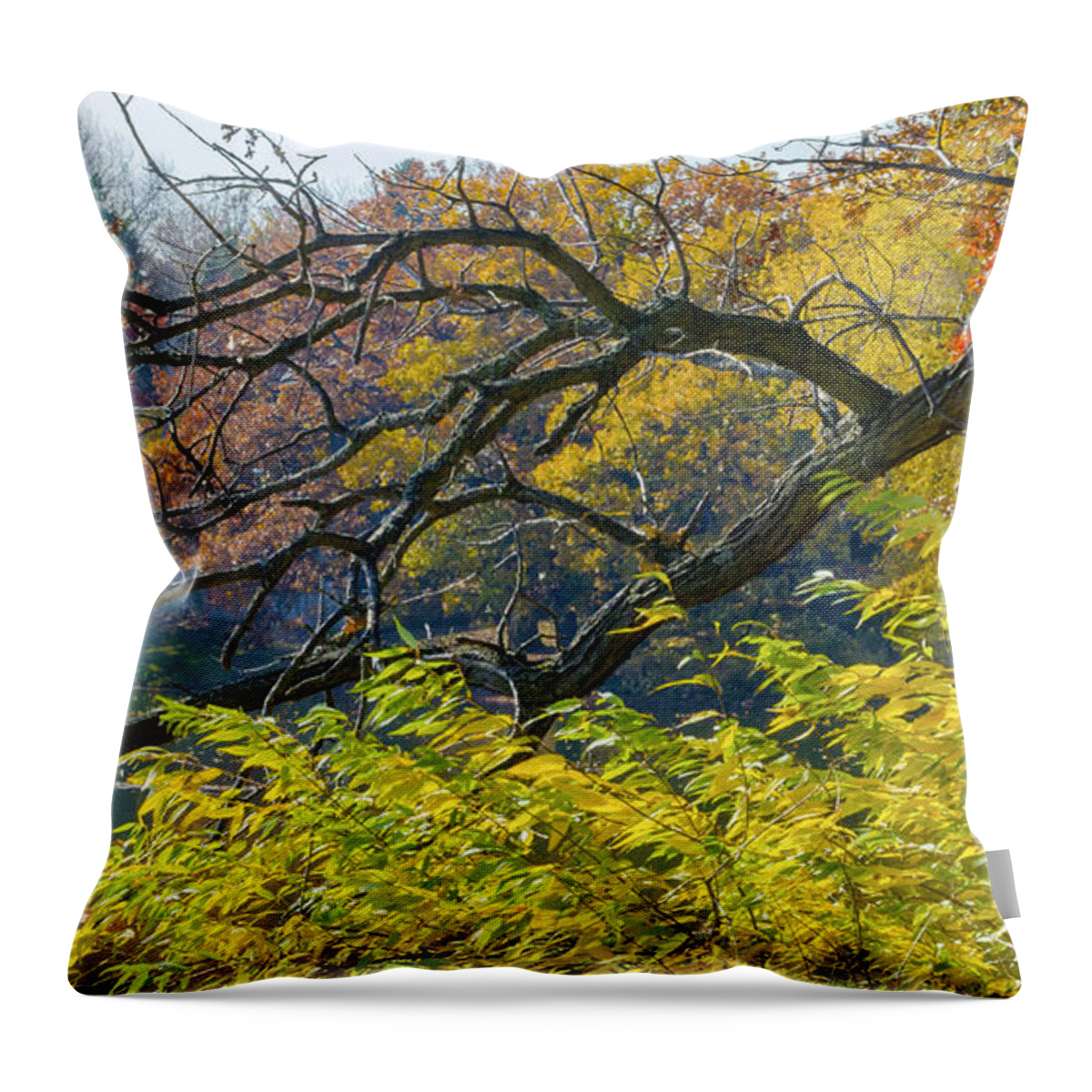 Autumn Throw Pillow featuring the photograph Black Branches Through Bright Autumn Trees by Lynn Hansen