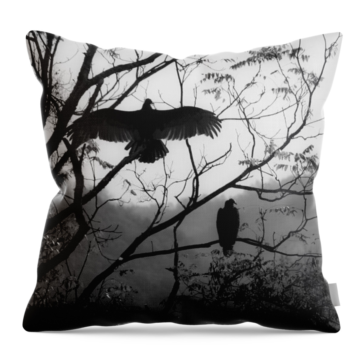 Black Throw Pillow featuring the photograph Black Buzzards Sunning by Teresa Mucha