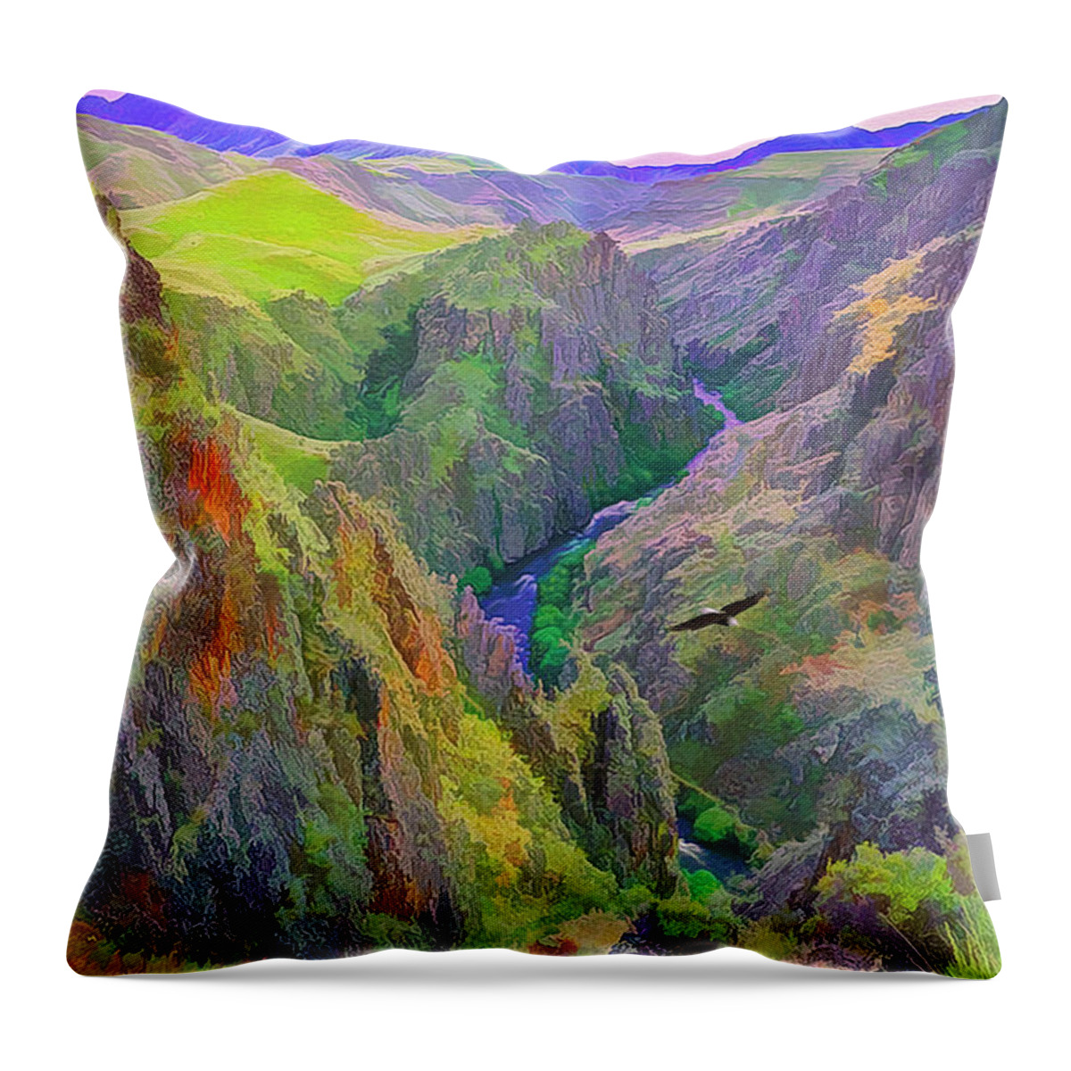 Black Canyon Throw Pillow featuring the digital art Black Canyon by Walter Colvin