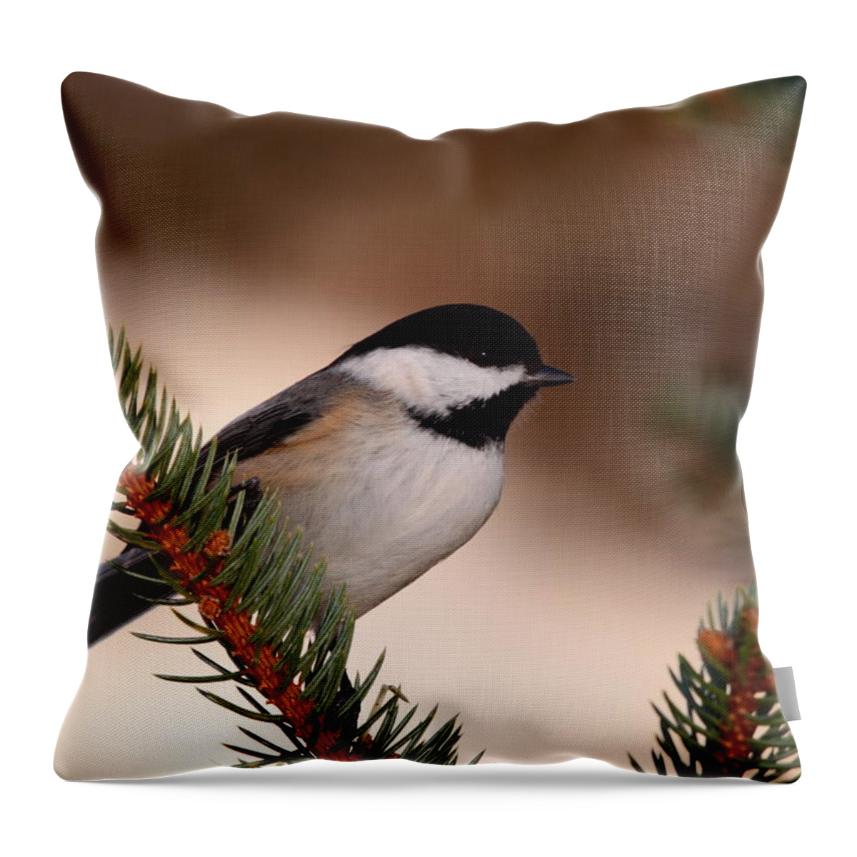 Chickadee Throw Pillow featuring the photograph Black-capped Cickadee II by Bruce J Robinson
