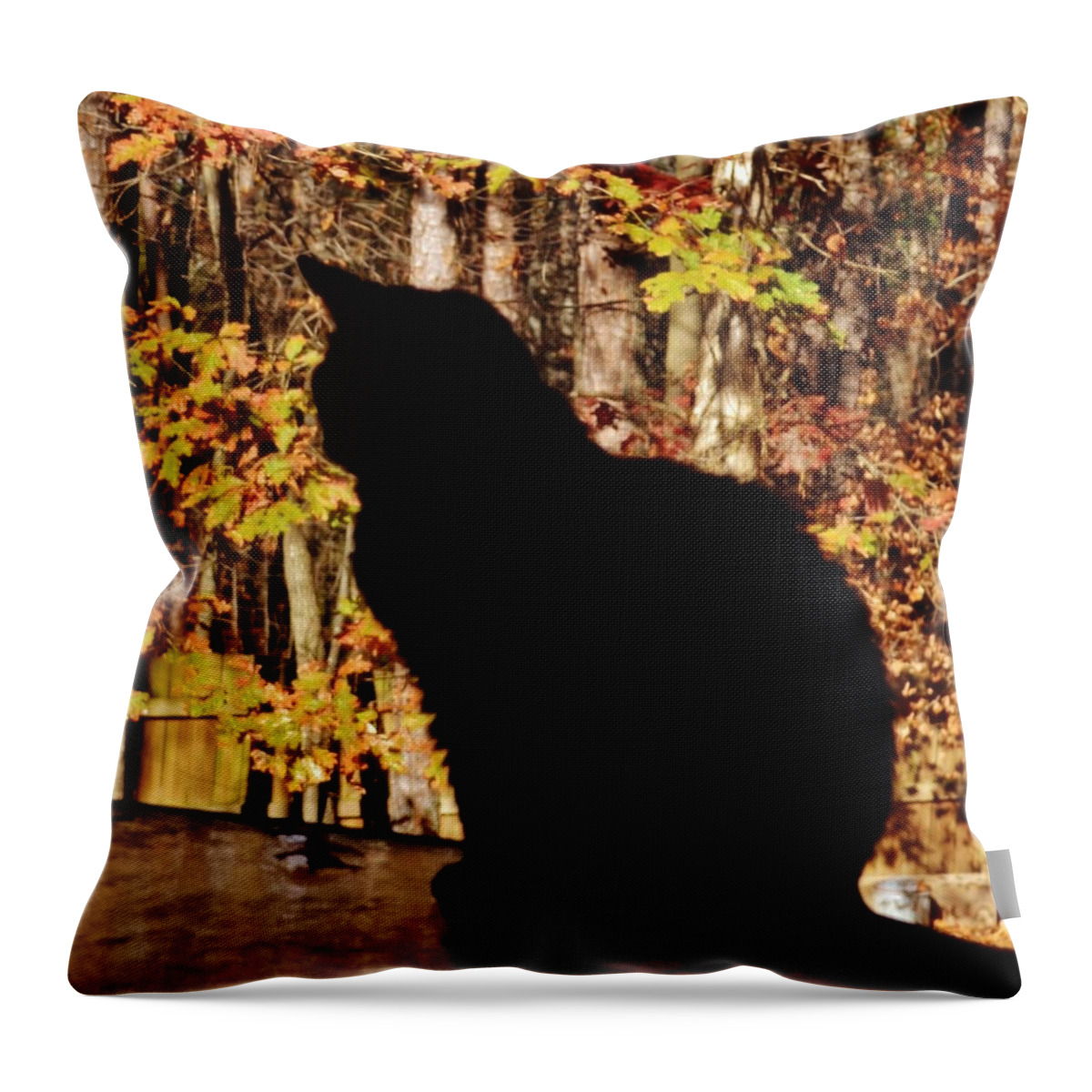 Cat Throw Pillow featuring the photograph Black Cat by Eileen Brymer