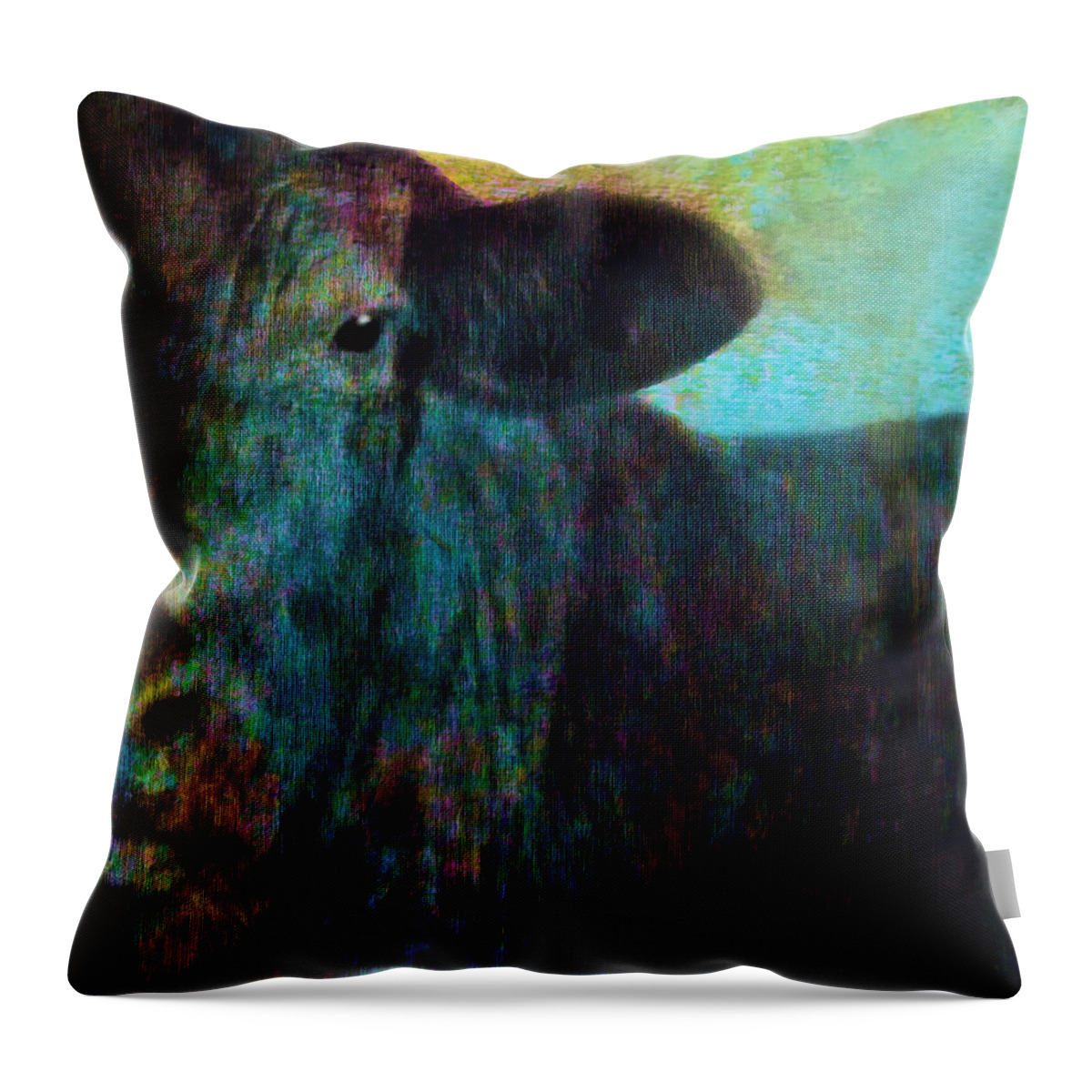 Cow Throw Pillow featuring the photograph Black Cow Two by Ann Powell