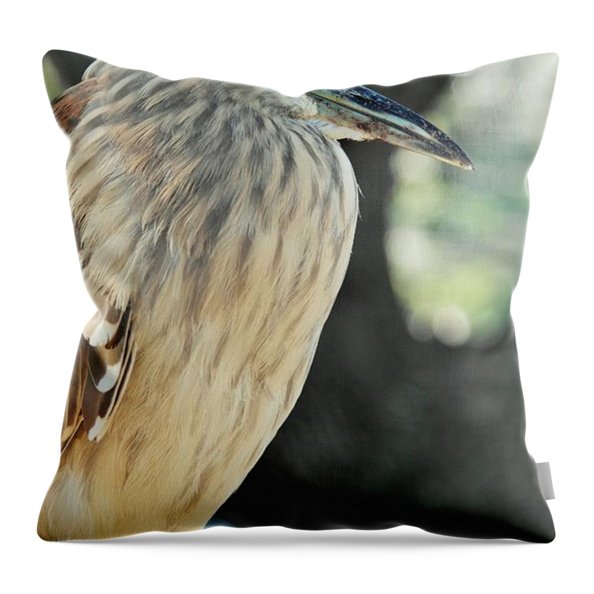 Sea Throw Pillow featuring the photograph Black Crowned Night Heron #1 by Stoney Lawrentz