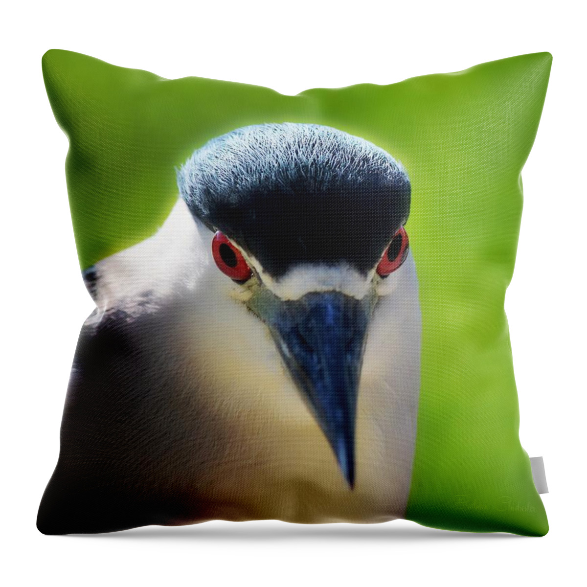 Black-crowned Night-heron Throw Pillow featuring the photograph Black Crowned Night Heron by Barbara Chichester