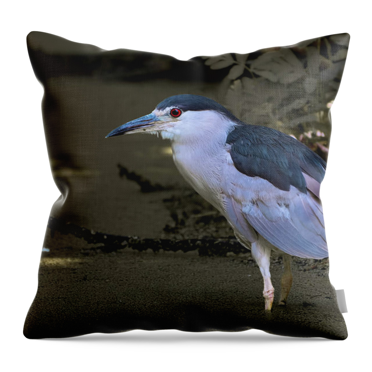 Black Crowned Night Heron Throw Pillow featuring the photograph Black Crowned Night Heron by Sam Rino