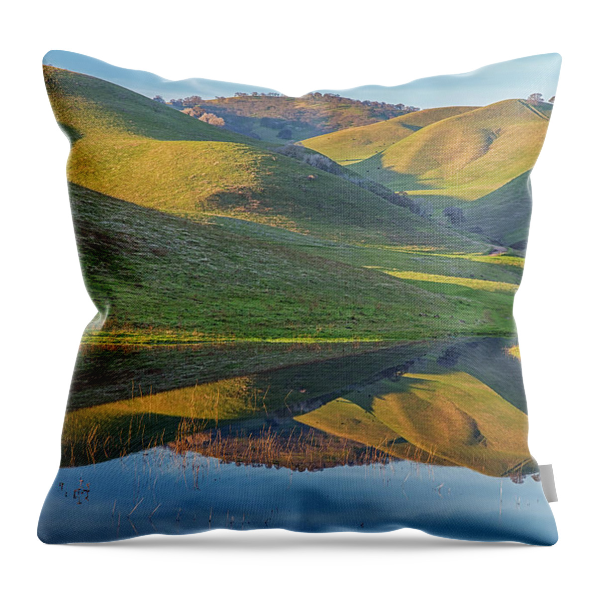 California Throw Pillow featuring the photograph Black Diamond Morning Reflection by Marc Crumpler
