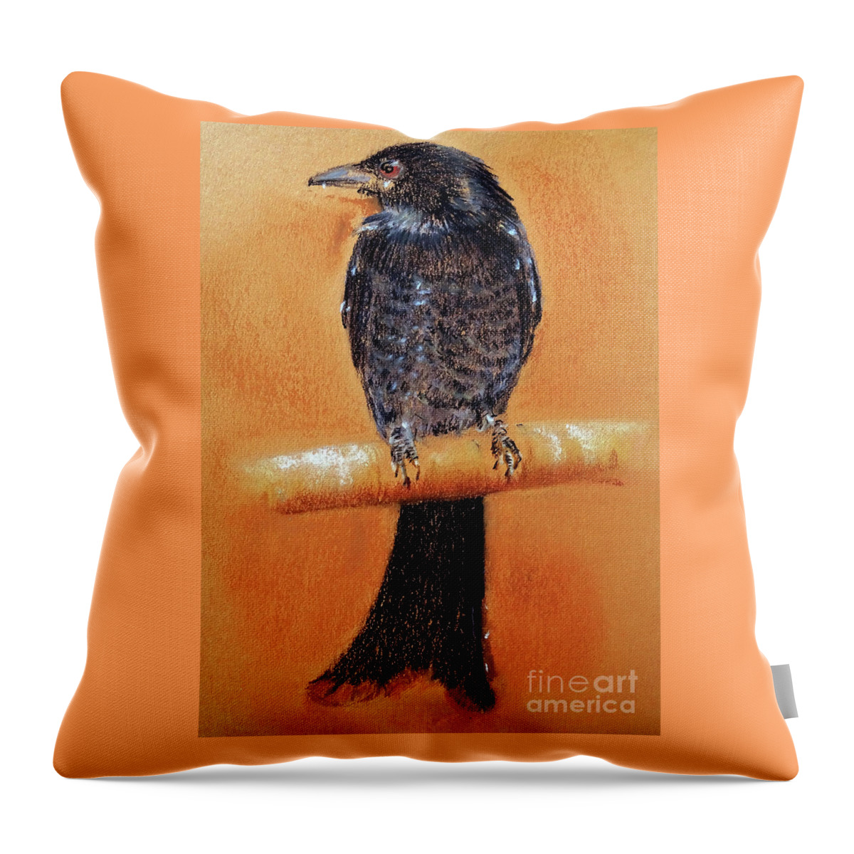 Bird Throw Pillow featuring the painting Black Drongo by Jasna Dragun