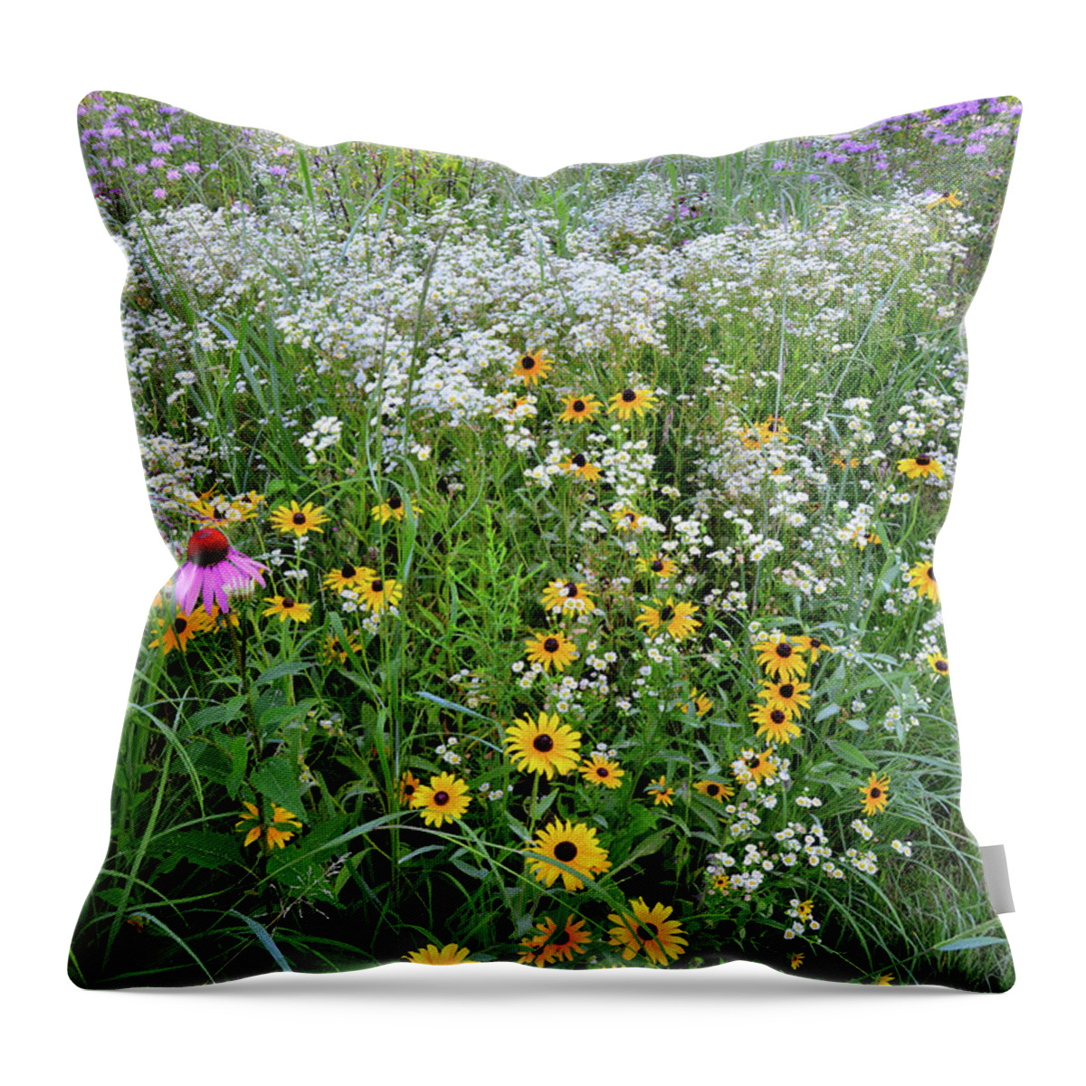 Mchenry County Conservation District Throw Pillow featuring the photograph Black Eyed Susans and Company by Ray Mathis