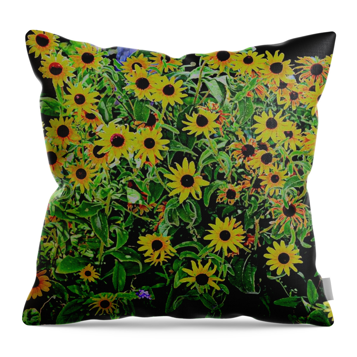 Botanical Throw Pillow featuring the photograph Black Eyes 3 by Diane montana Jansson
