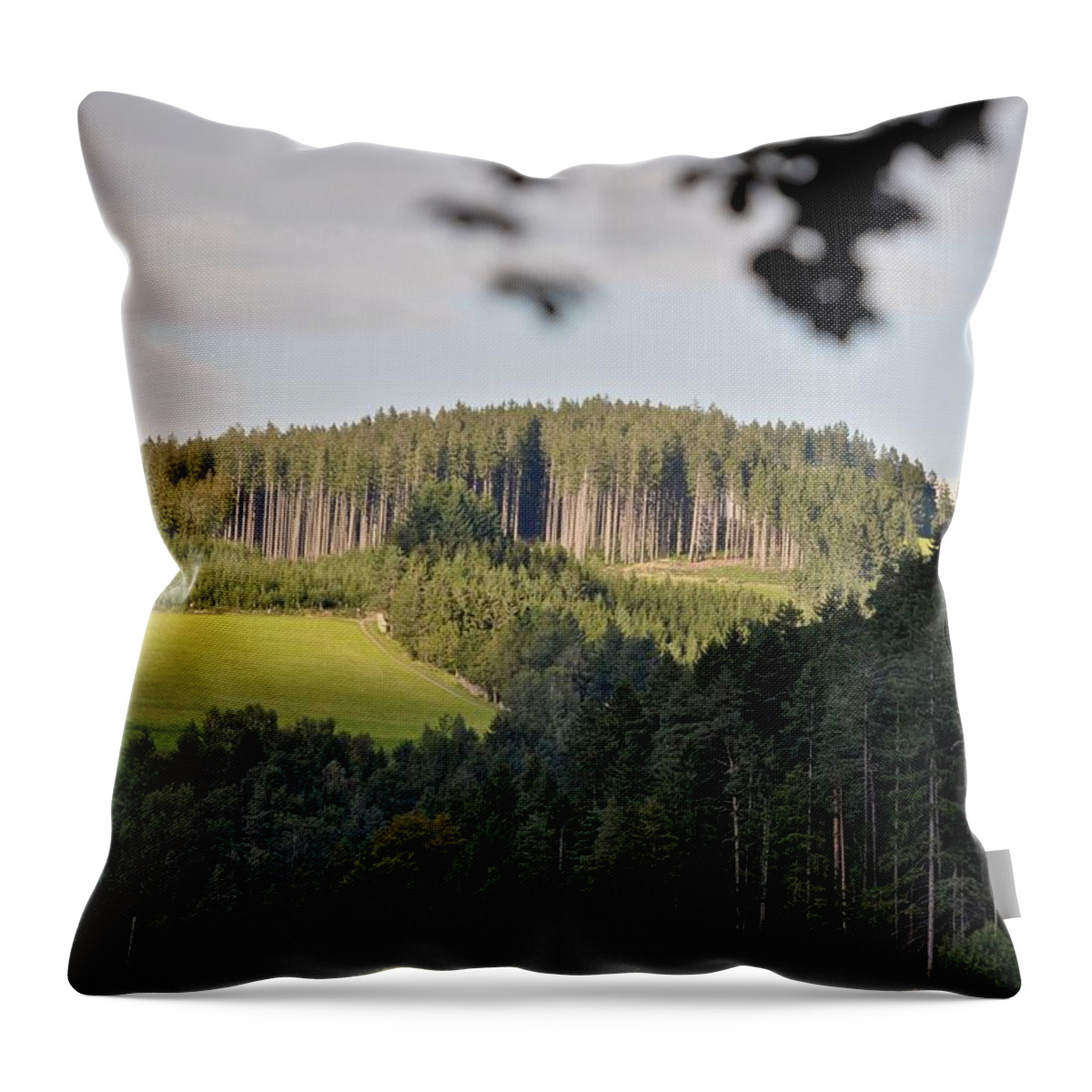 Bavaria Throw Pillow featuring the photograph Black Forest by Matt MacMillan