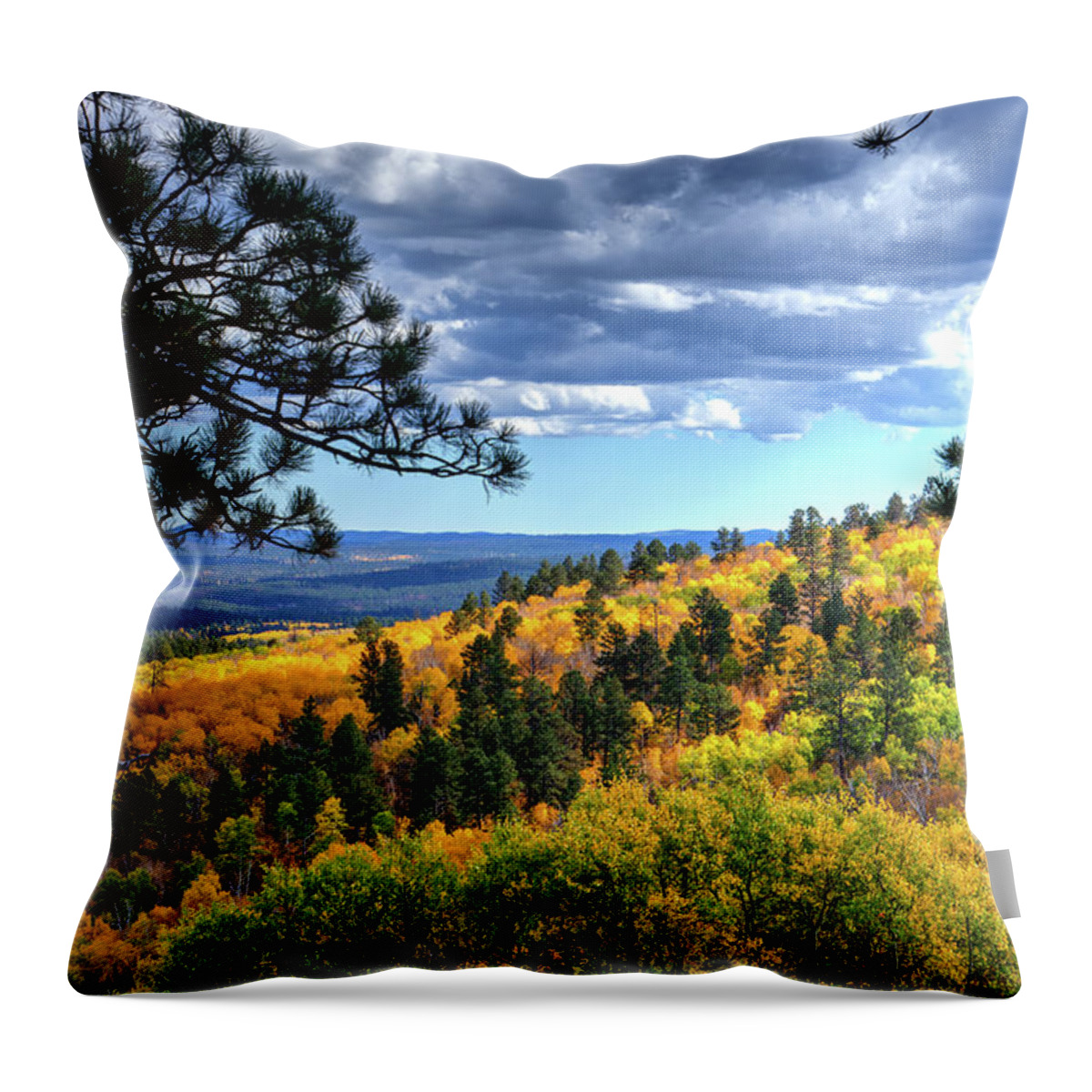 Autumn Throw Pillow featuring the photograph Black Hills Autumn by Fiskr Larsen