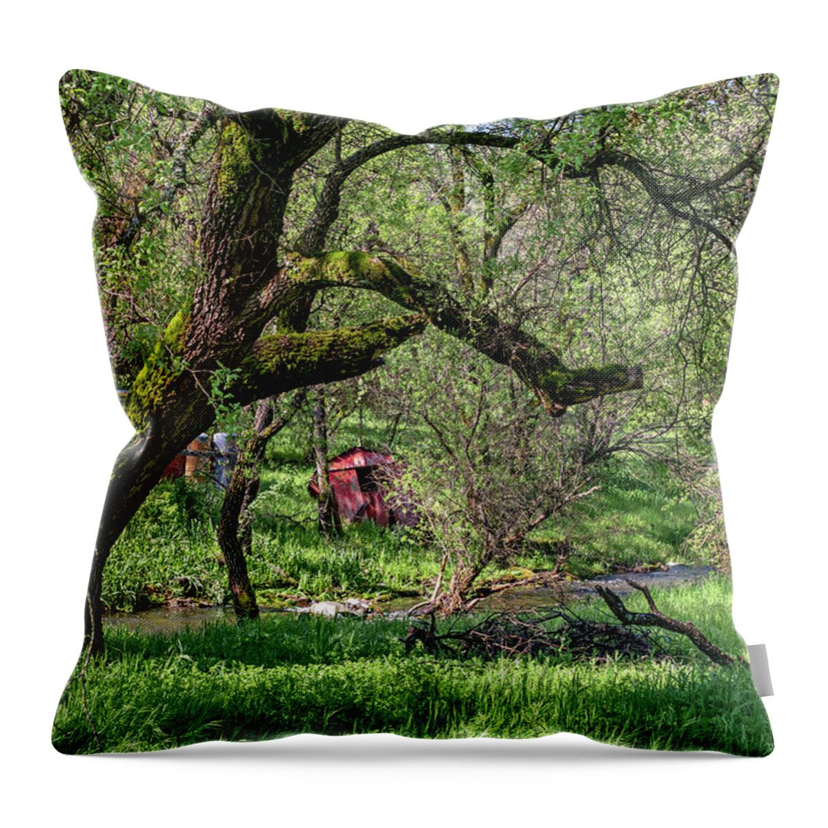 Black Oak Throw Pillow featuring the photograph Black Oak and Creek by Jim Thompson