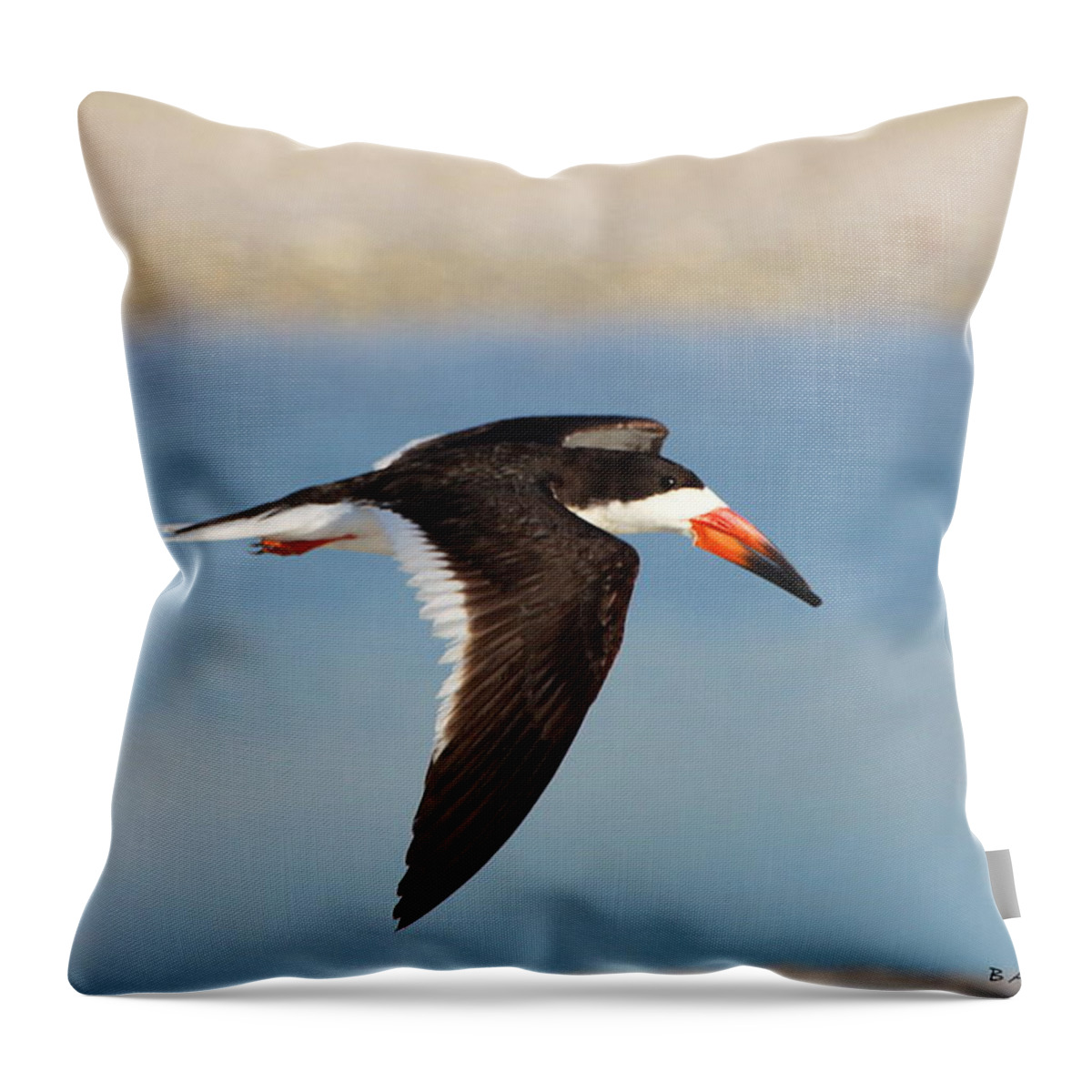 Black Skimmer Throw Pillow featuring the photograph Black Skimmer in Flight by Barbara Bowen