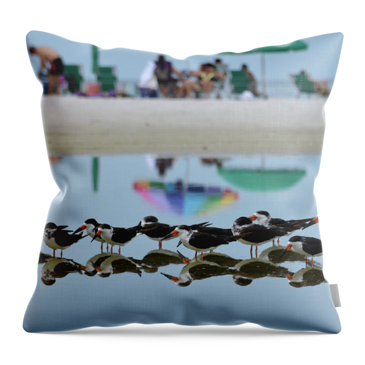 Bird Throw Pillow featuring the photograph Black Skimmers Enjoying the Beach by Artful Imagery