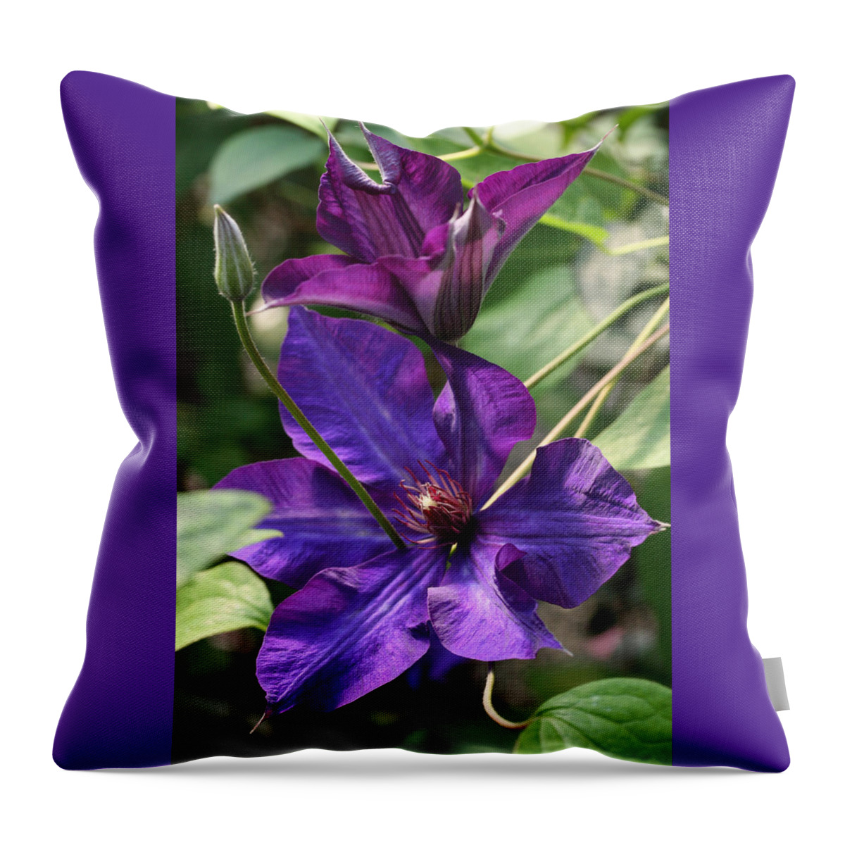 Abundant Throw Pillow featuring the photograph Black Tea Clematis by Tammy Pool