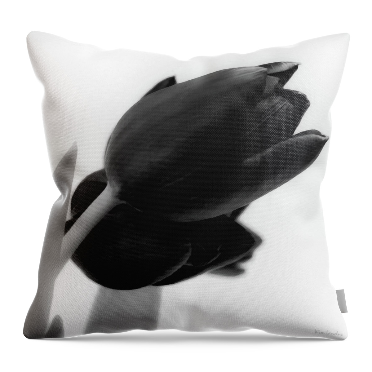 Tulips Throw Pillow featuring the photograph Black Tulips by Wim Lanclus