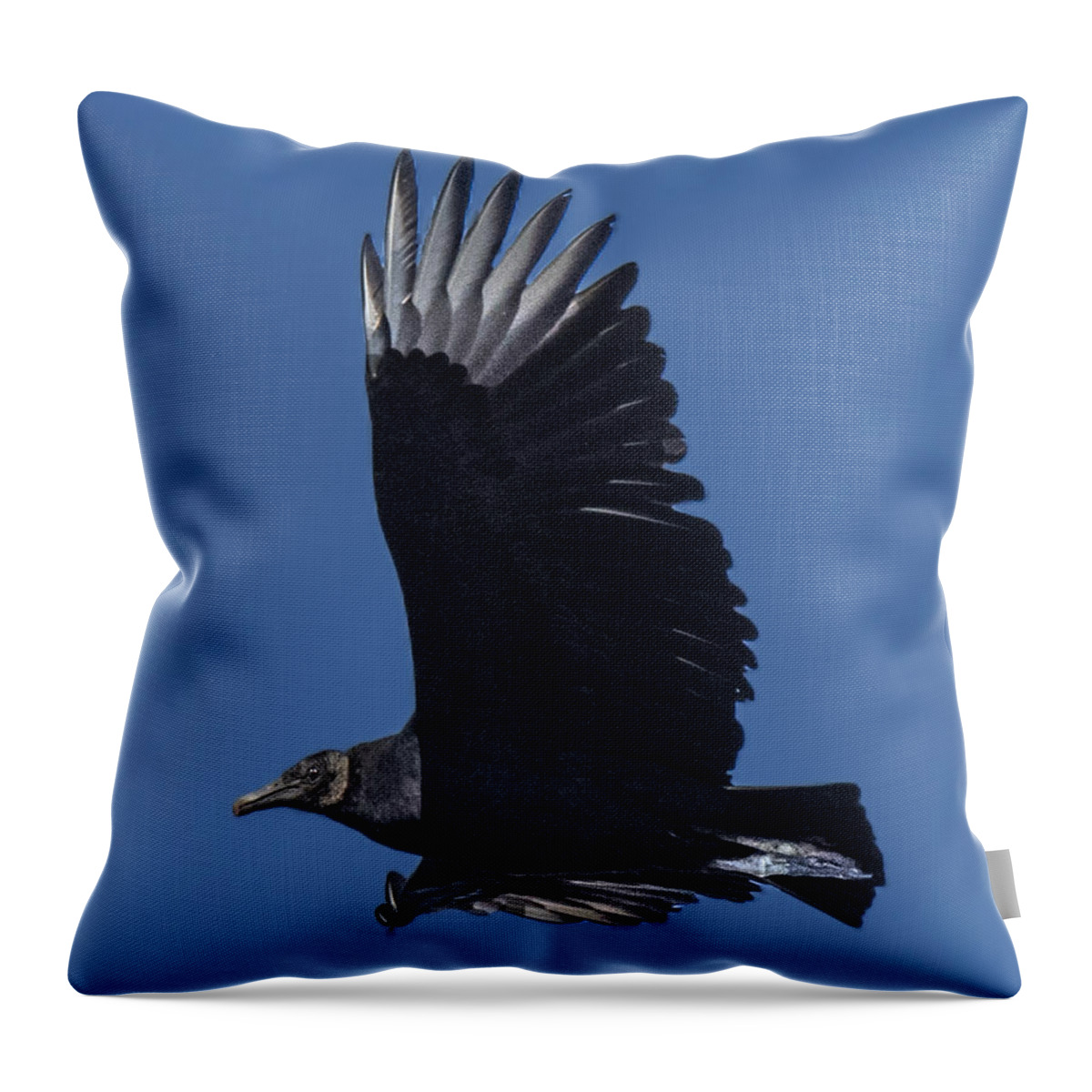 Vulture Throw Pillow featuring the photograph Black Vulture Flying Profile by William Bitman