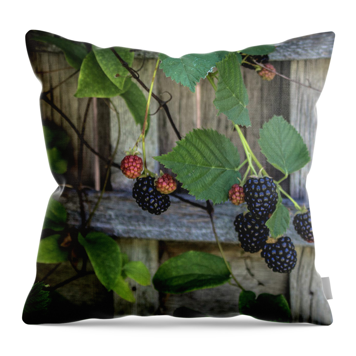 Berries Throw Pillow featuring the photograph Blackberries by K Bradley Washburn