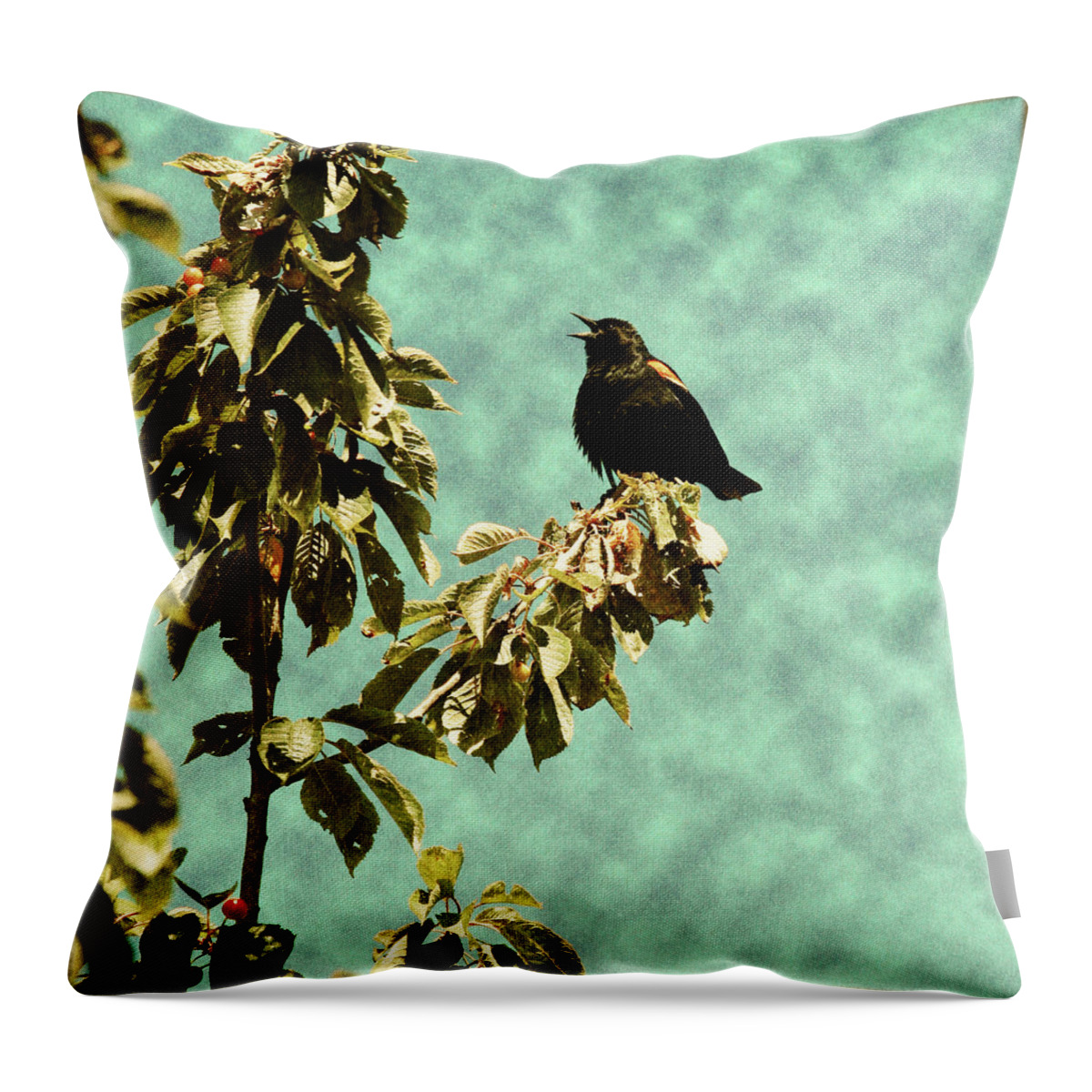 Redwing Blackbird Throw Pillow featuring the photograph Blackbird's Song by Bonnie Bruno
