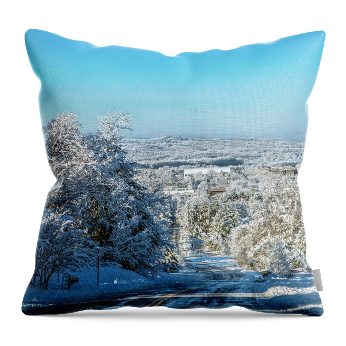 Virginia Throw Pillow featuring the photograph Blacksburg Elegant Country Snow Near Virginia Tech by Betsy Knapp