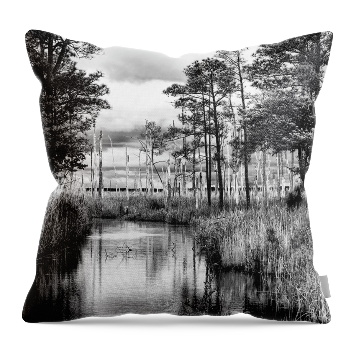 Black Throw Pillow featuring the photograph Blackwater Wildlife Refuge by Richard Macquade