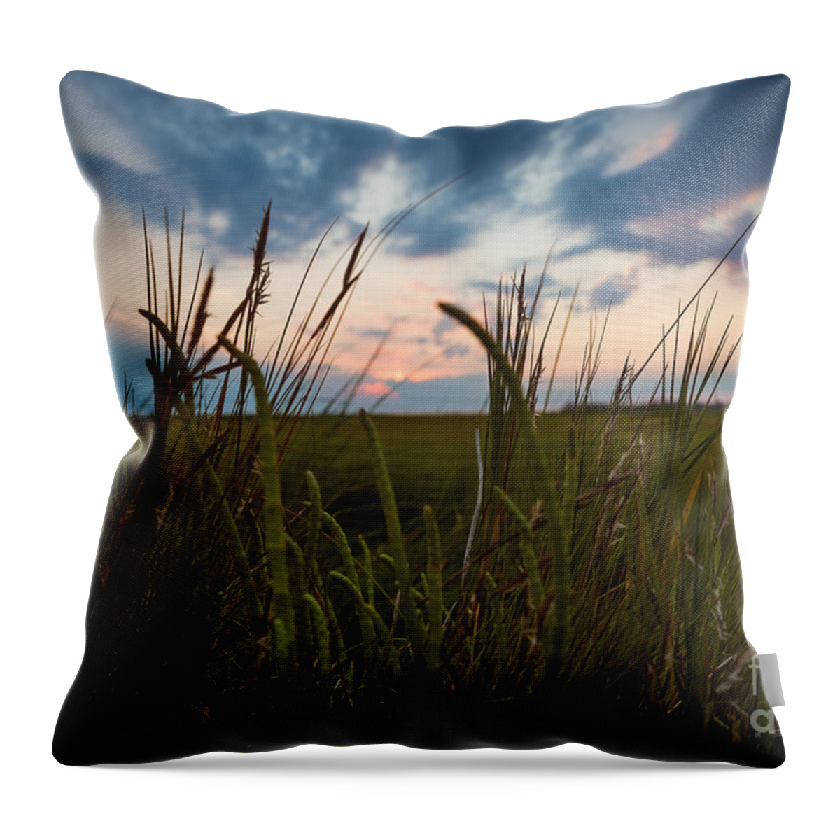 Sunrise Throw Pillow featuring the photograph Blades of Sunset by Alissa Beth Photography