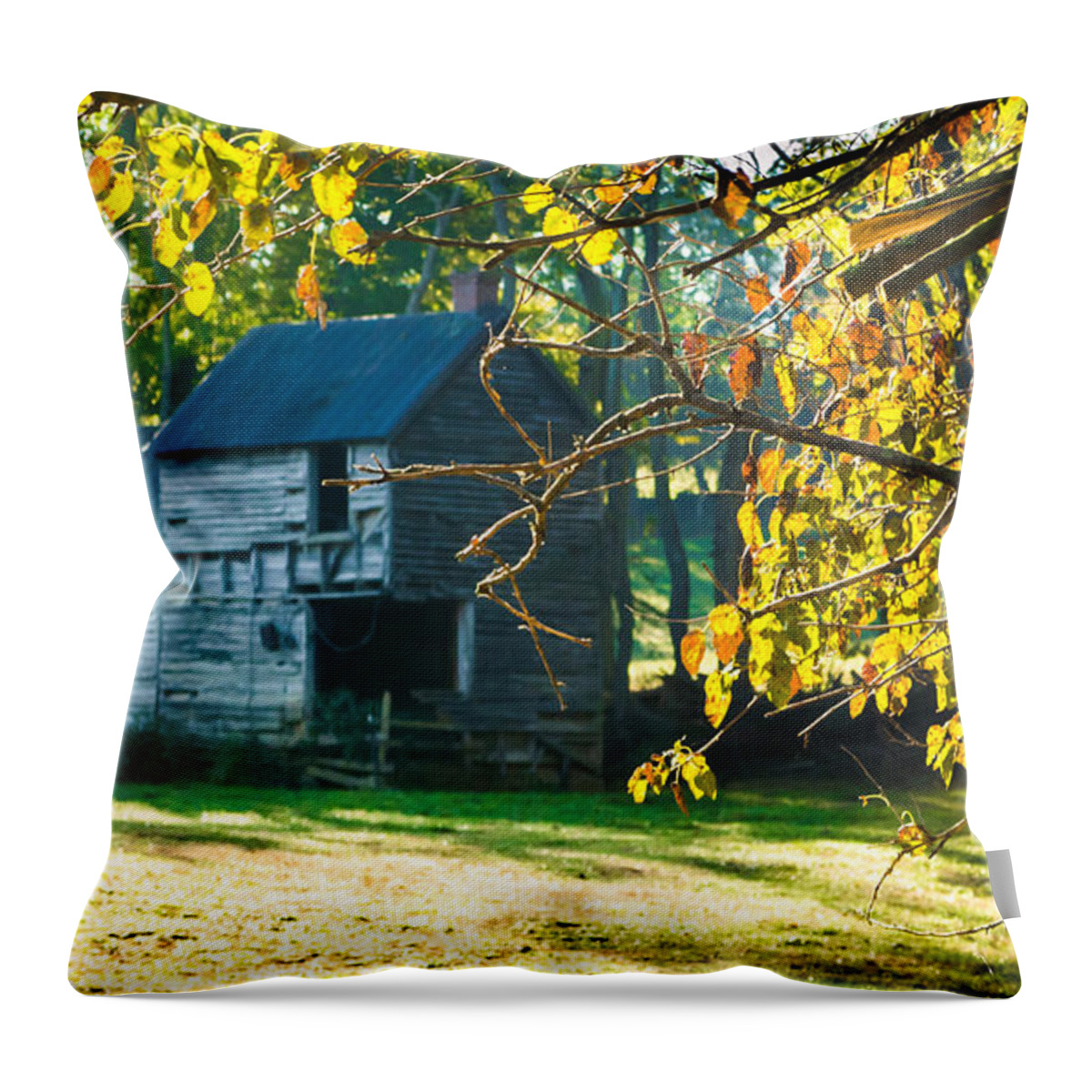 Blantyre Road Throw Pillow featuring the photograph Blantyre Road Drive 4 by Carlee Ojeda